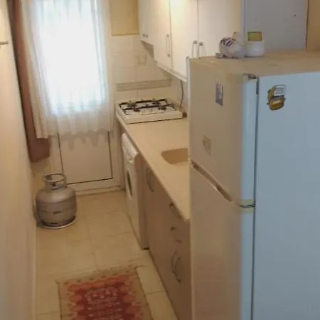 Elizya Gunluk Kiralik Evler Villa